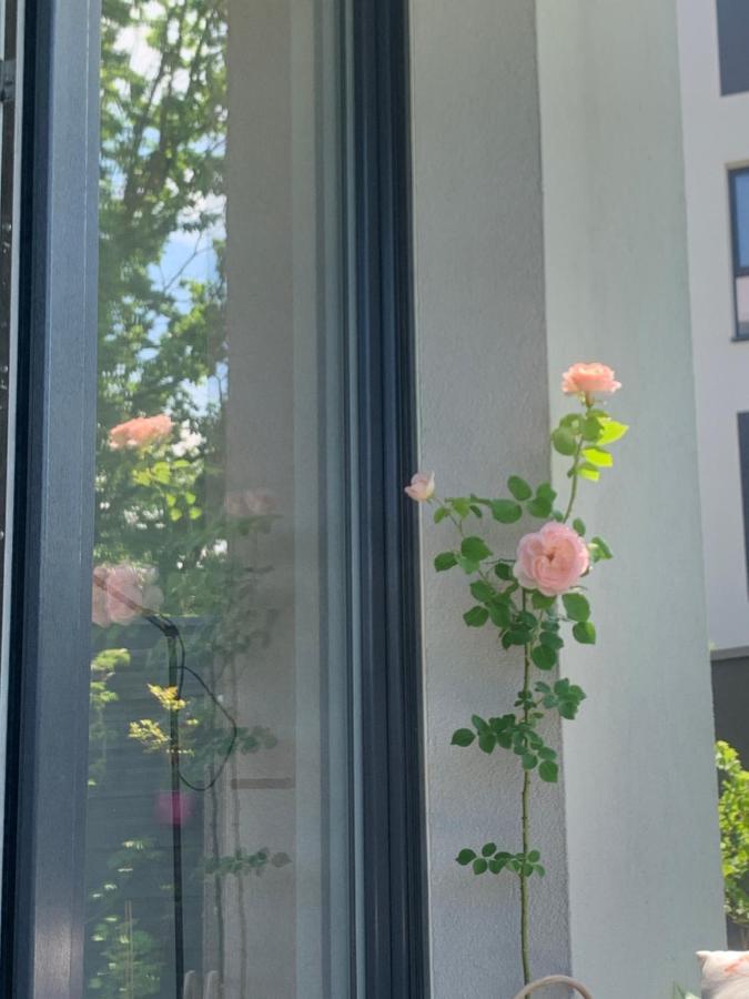 Garden Apartment Self Check-In - Bezkluczowy Dostep W 10 Minut O Kazdej Porze Krasków Εξωτερικό φωτογραφία
