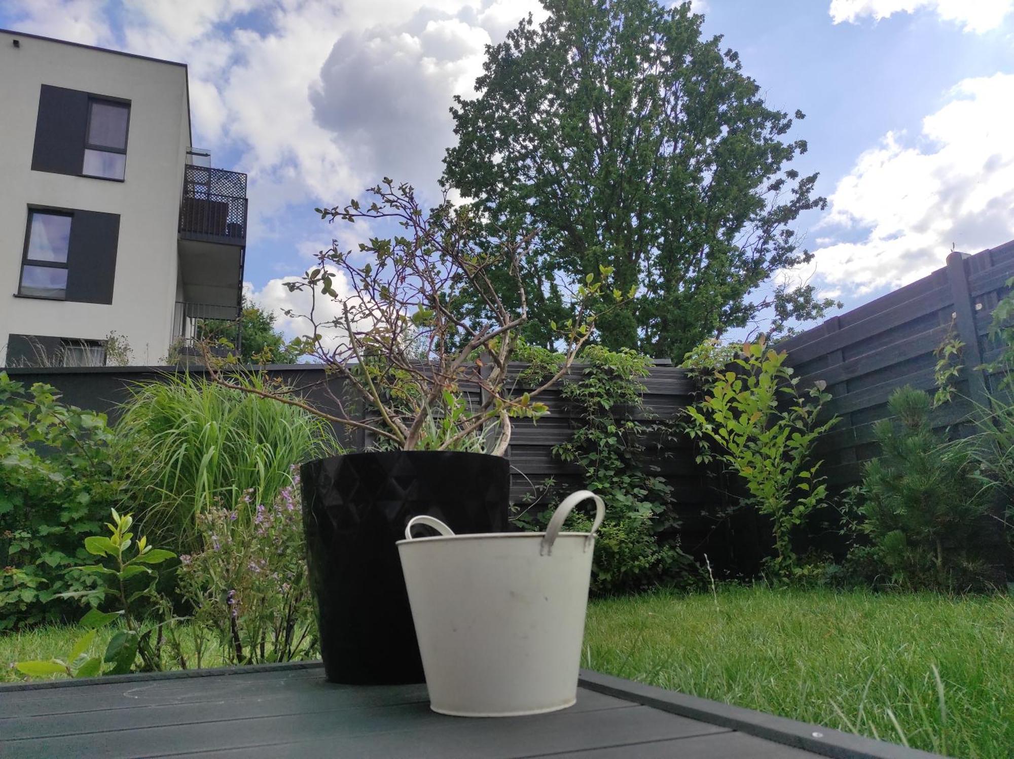 Garden Apartment Self Check-In - Bezkluczowy Dostep W 10 Minut O Kazdej Porze Krasków Εξωτερικό φωτογραφία